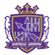 Team logo